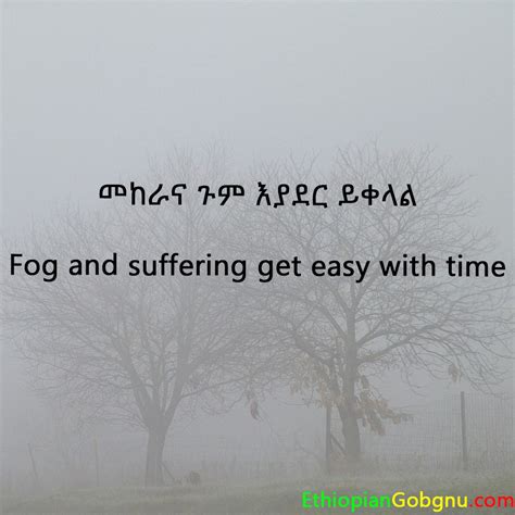 ethiopian quotes|ethiopian quotes and meanings.